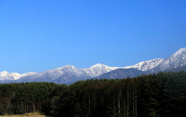 f0140054_2127142.jpg