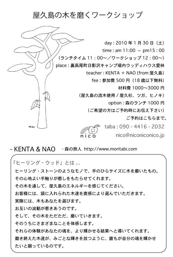 屋久島の木を磨くワークショップ_b0160957_851247.jpg