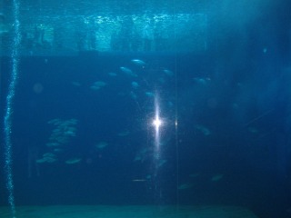 b0181861_87256.jpg