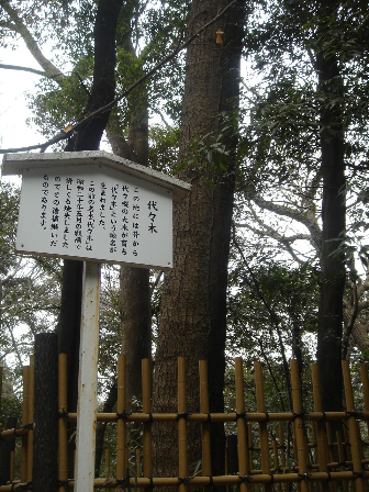 のんびり休日（表参道〜明治神宮）_e0165361_2225972.jpg