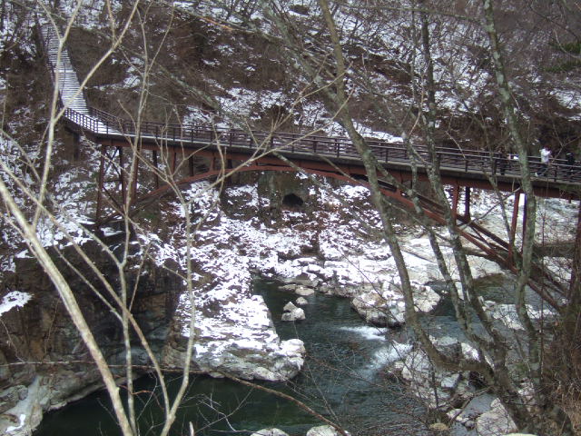 c0229062_174882.jpg