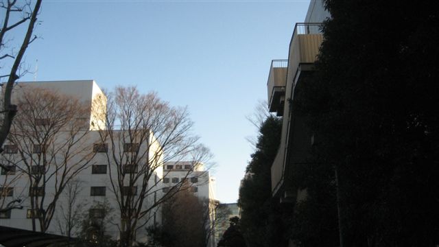 a0123465_23505176.jpg