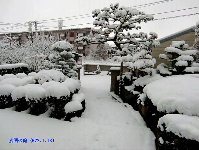 e0070880_9562516.jpg