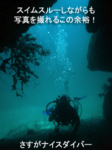 初めてのファンダイブは大物狙い!~初日~_f0144385_3213628.jpg