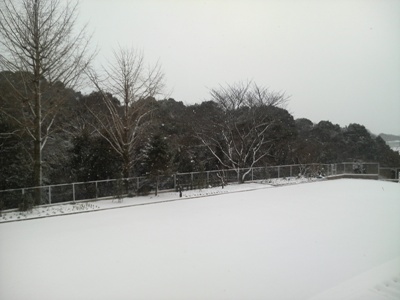 福岡は雪の一日でした。_e0188087_21304140.jpg