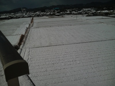 福岡は雪の一日でした。_e0188087_2133572.jpg