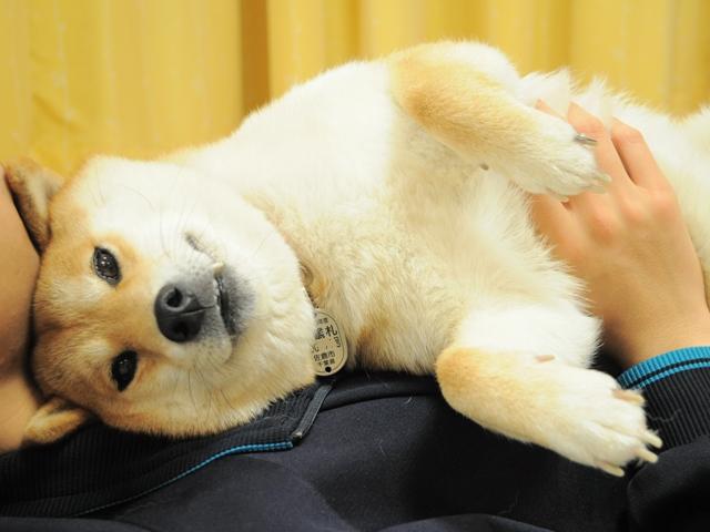 ポッコリをすっきり!_a0126590_22532420.jpg