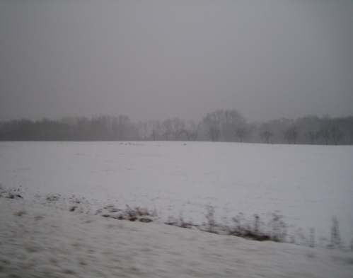 d0135907_10591.jpg