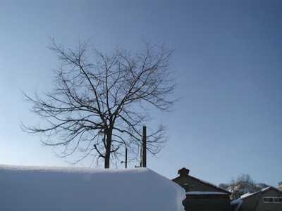 c0170208_22502454.jpg
