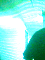 e0103408_1129749.gif