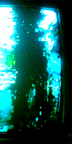 e0103408_113510100.gif