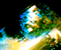 e0103408_14385844.gif