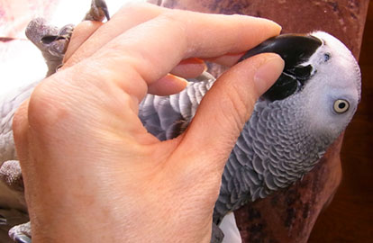 c0133013_15271189.jpg