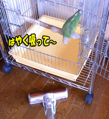 c0133013_15482077.jpg
