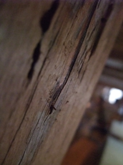 c0167813_4162320.jpg
