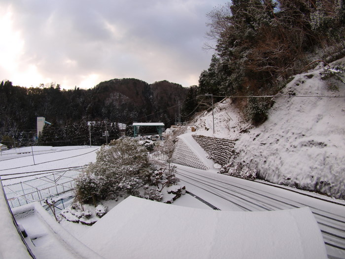 雪景色　その２_c0116915_22262474.jpg