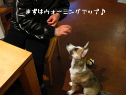 c0012120_22463577.jpg