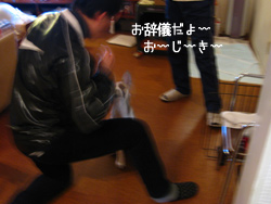 c0012120_22464662.jpg