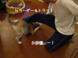 c0012120_22471048.jpg