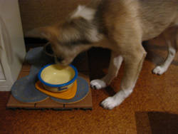 c0012120_238272.jpg