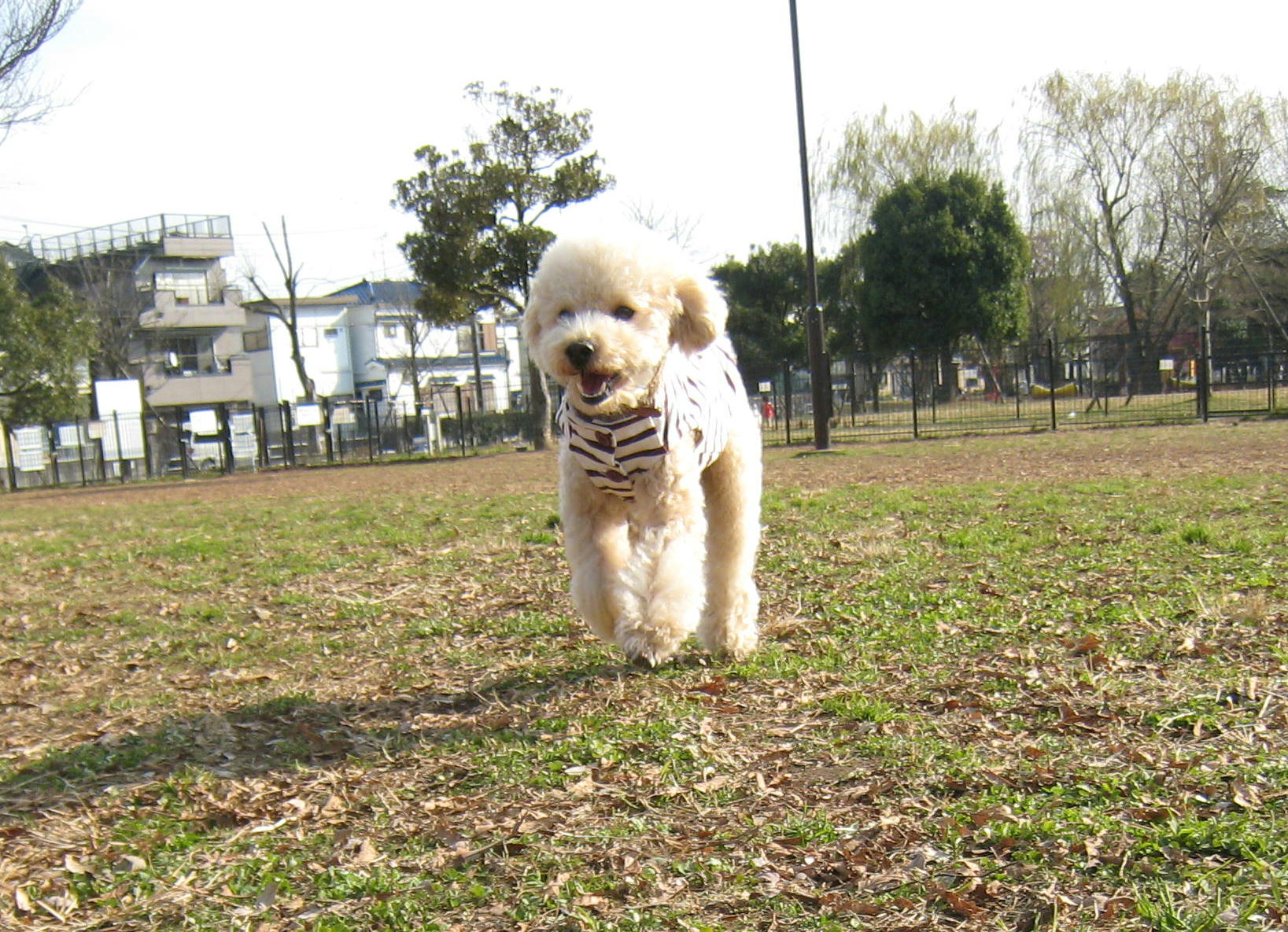 c0060920_18452829.jpg