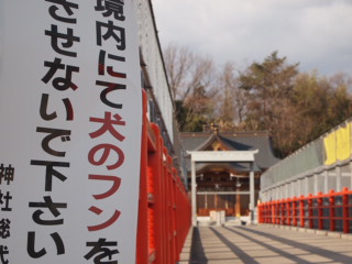 ちょっと奇妙な闘鶏野神社_b0024023_2411869.jpg