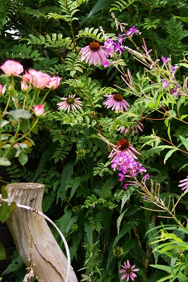 f0170524_1823107.jpg