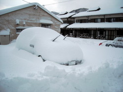 昨日から大雪になりました_e0061225_9532358.jpg