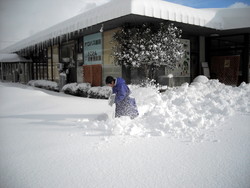 昨日から大雪になりました_e0061225_9562185.jpg