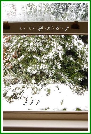 チキンソテー☆ピリ辛オニオンソース_d0104926_238024.jpg