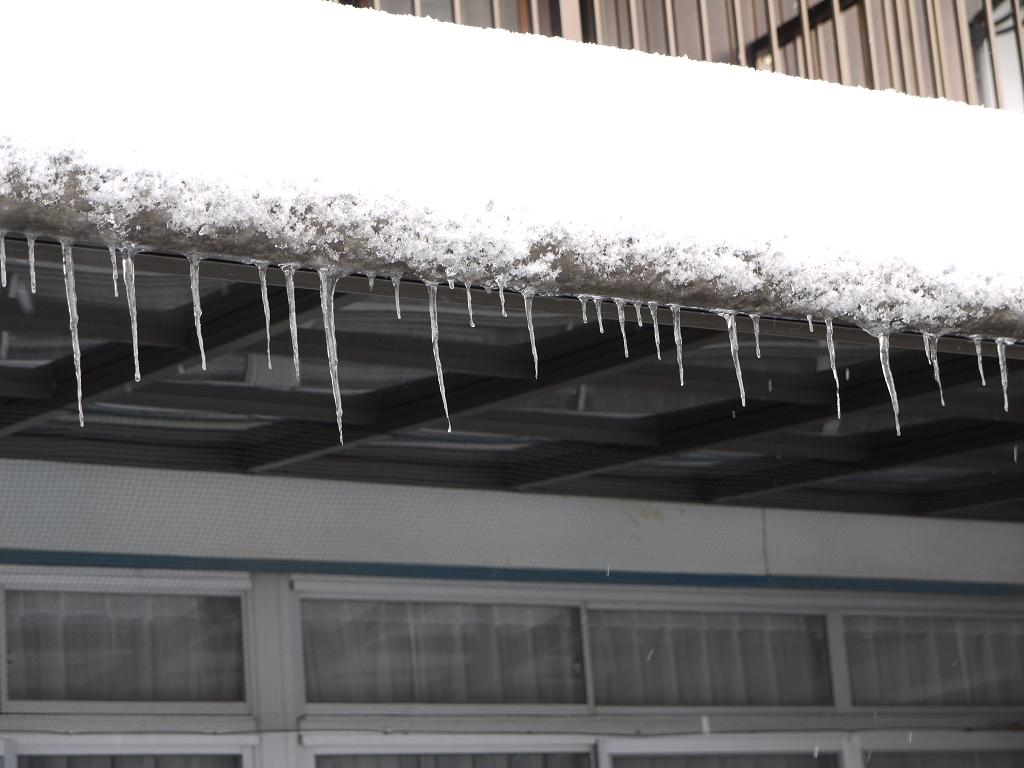 雪が溶けつつ、水になっています。_e0142729_16462760.jpg