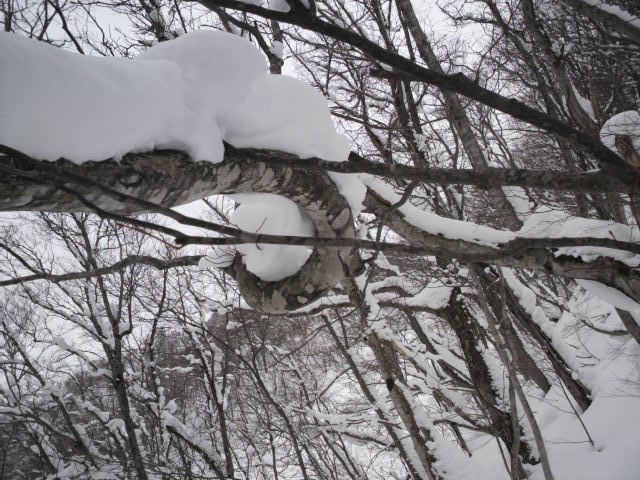 山登り 滑れるなら登る_e0173533_235586.jpg
