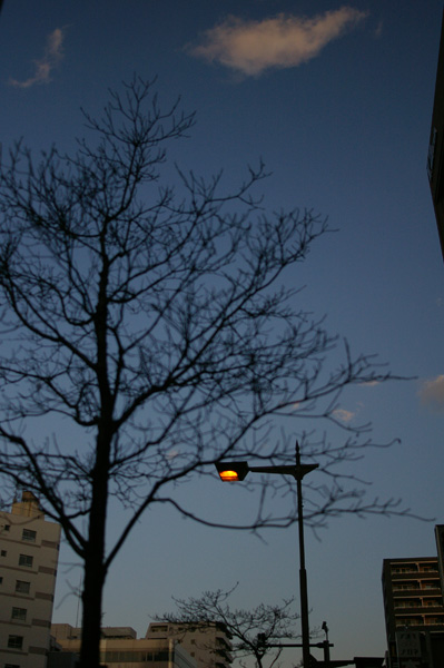 c0090139_14144090.jpg