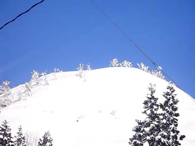 b0019140_14303715.jpg