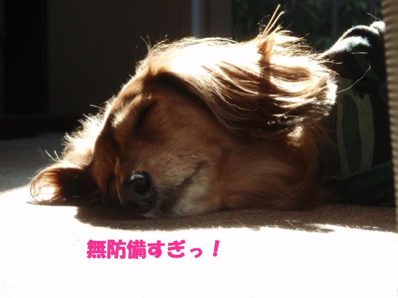 c0121550_13386.jpg