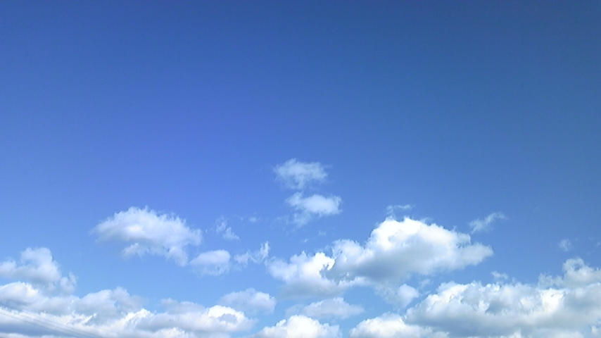 a0162251_1653769.jpg