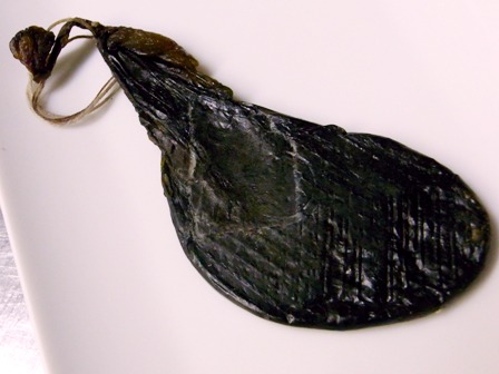 秘薬「熊の胆」完成! : ヌッフデュパプのボス・ブログ 秘薬「熊の胆」完成! : ヌッフデュパプのボス・ブログ