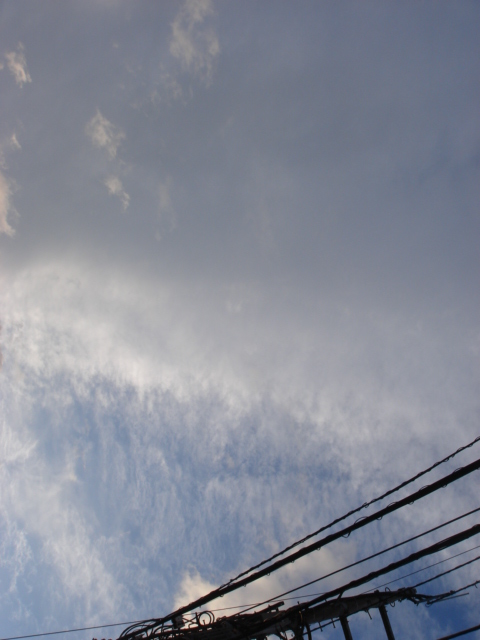 f0208355_8222150.jpg