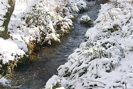 f0094462_9431262.jpg