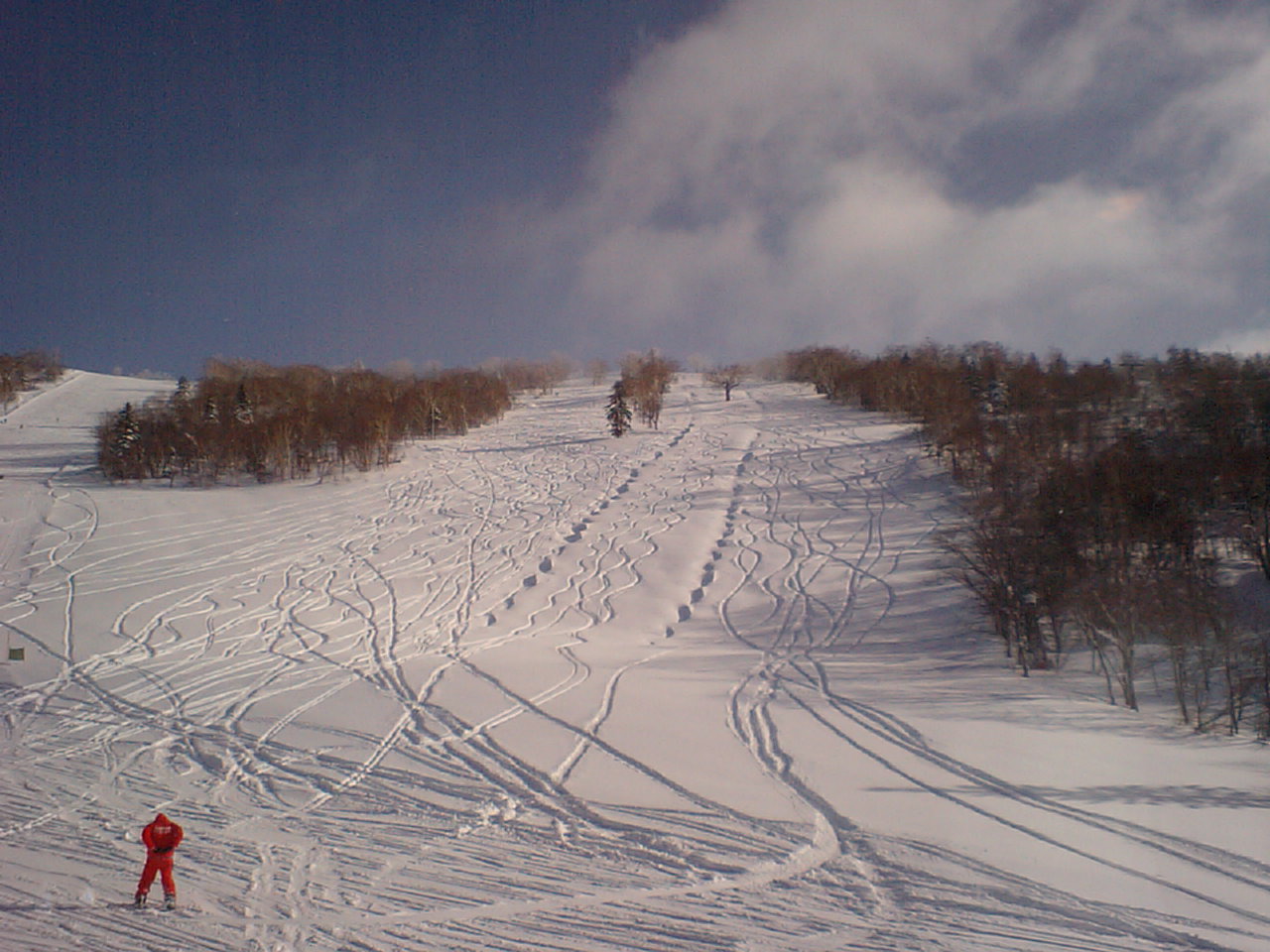 d0098665_18374450.jpg
