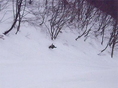 c0144467_20275385.jpg