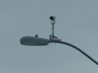 b0168369_14504665.gif