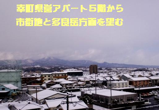 c0069372_324073.jpg