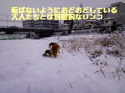 １月１３日　諫早では大雪_c0069372_3381877.jpg