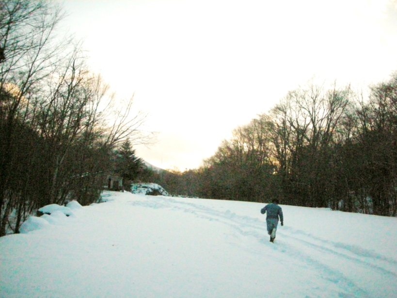 f0180878_2053965.jpg