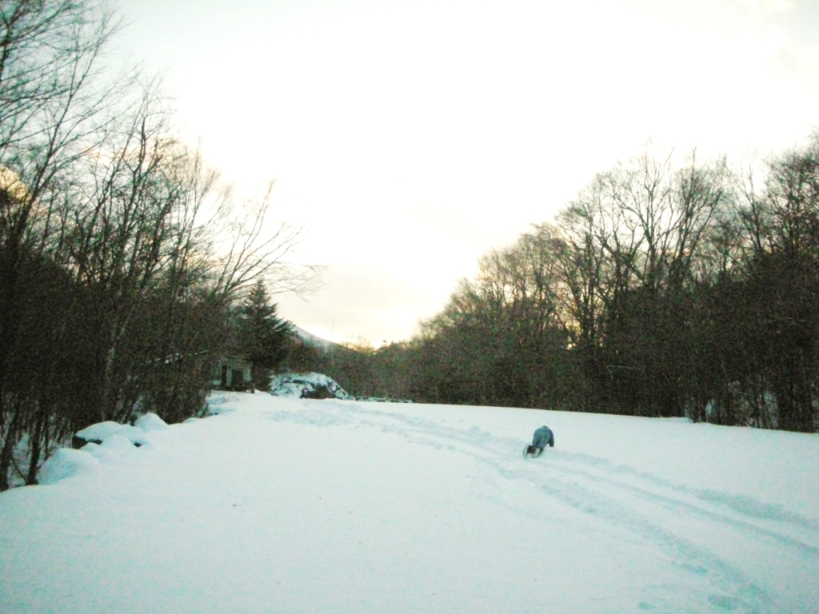 f0180878_2055914.jpg