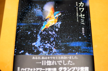 king fisher_c0229485_233153.jpg