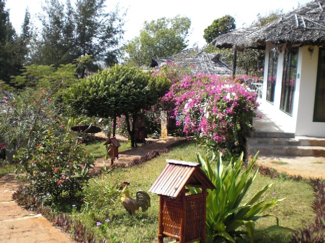 c0013687_20174756.jpg