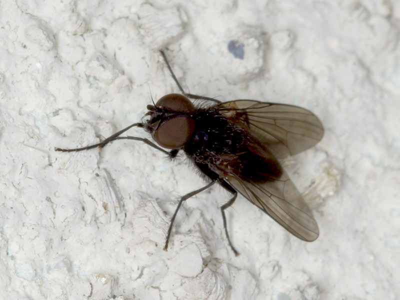 f0204094_9202185.jpg