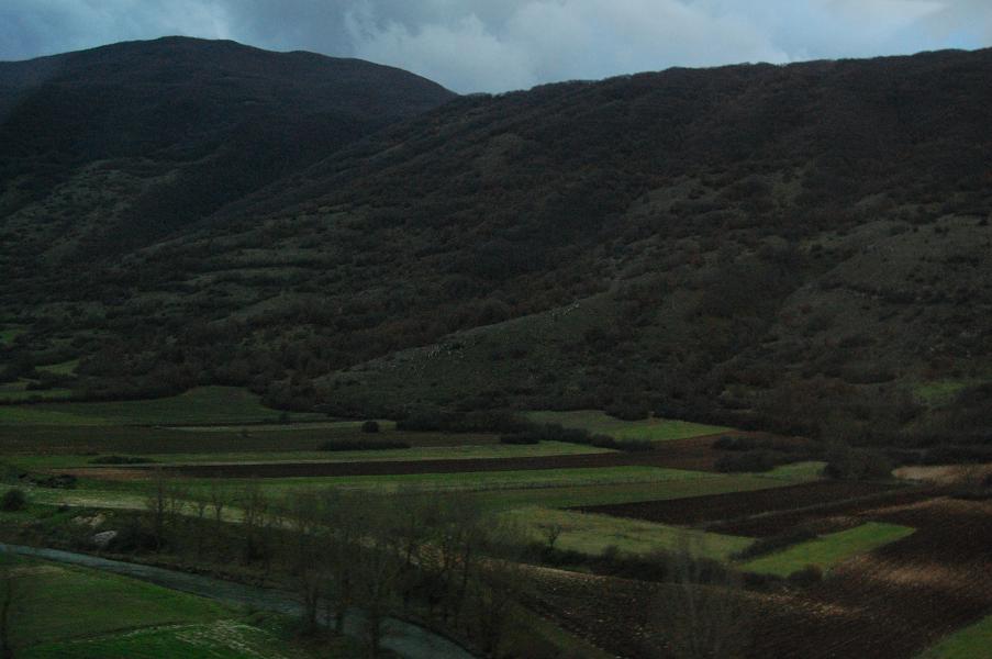 c0206107_5233166.jpg